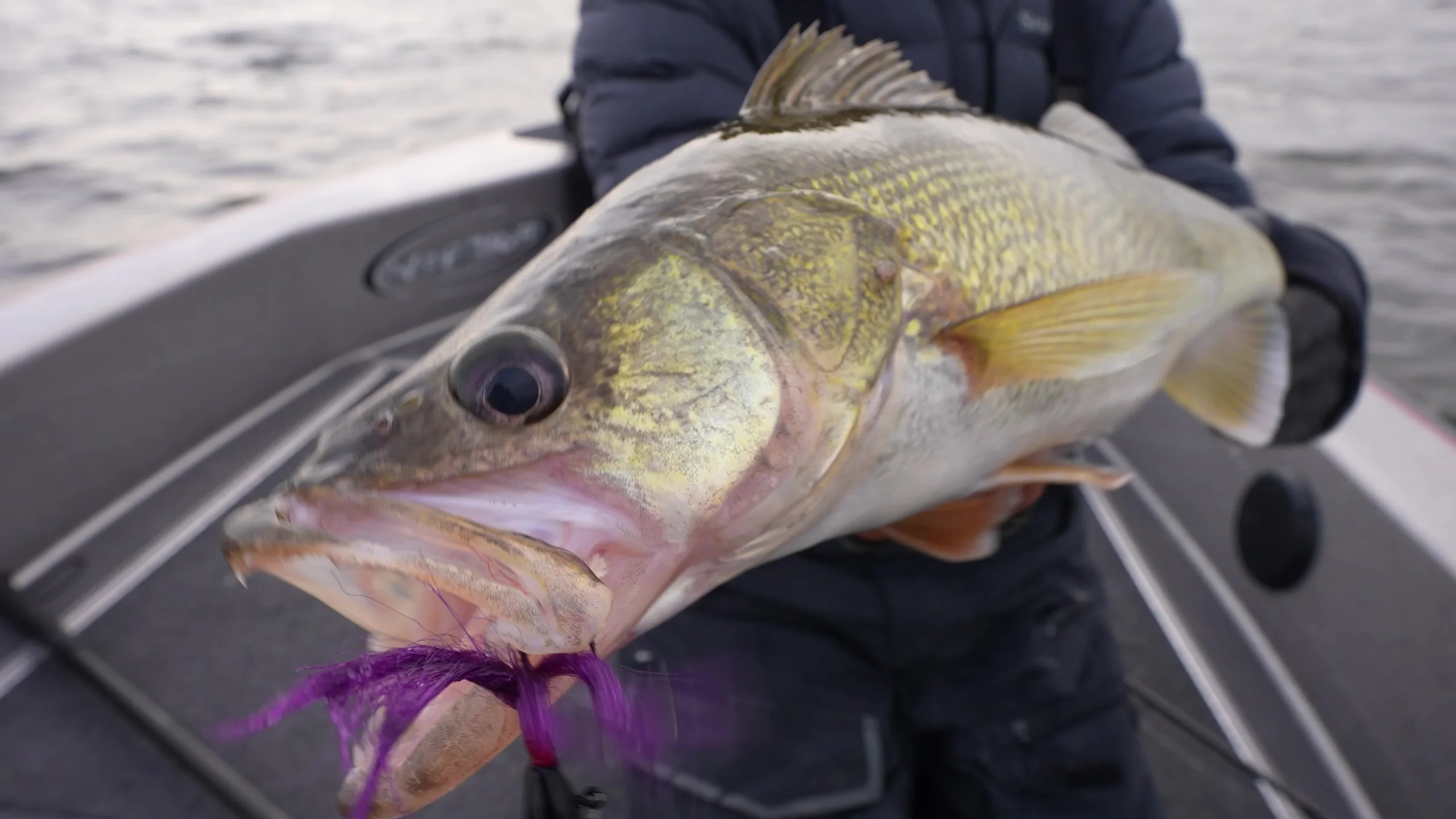 Master Every Cast Today